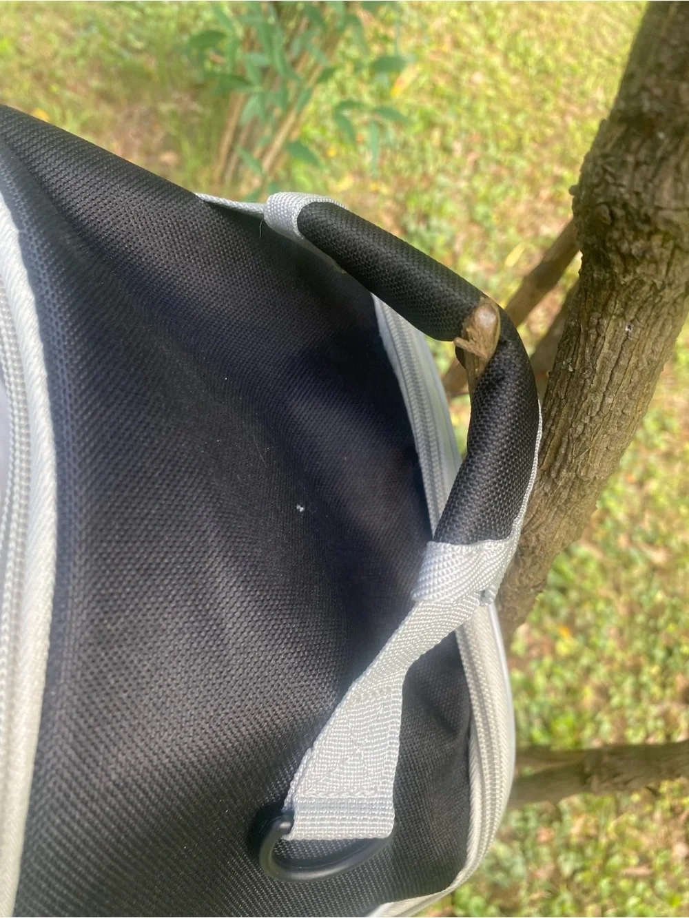 Pet carrier for small pet
